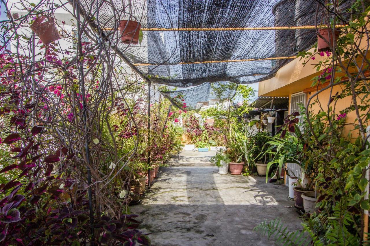 Nice Inn George Town Exterior foto